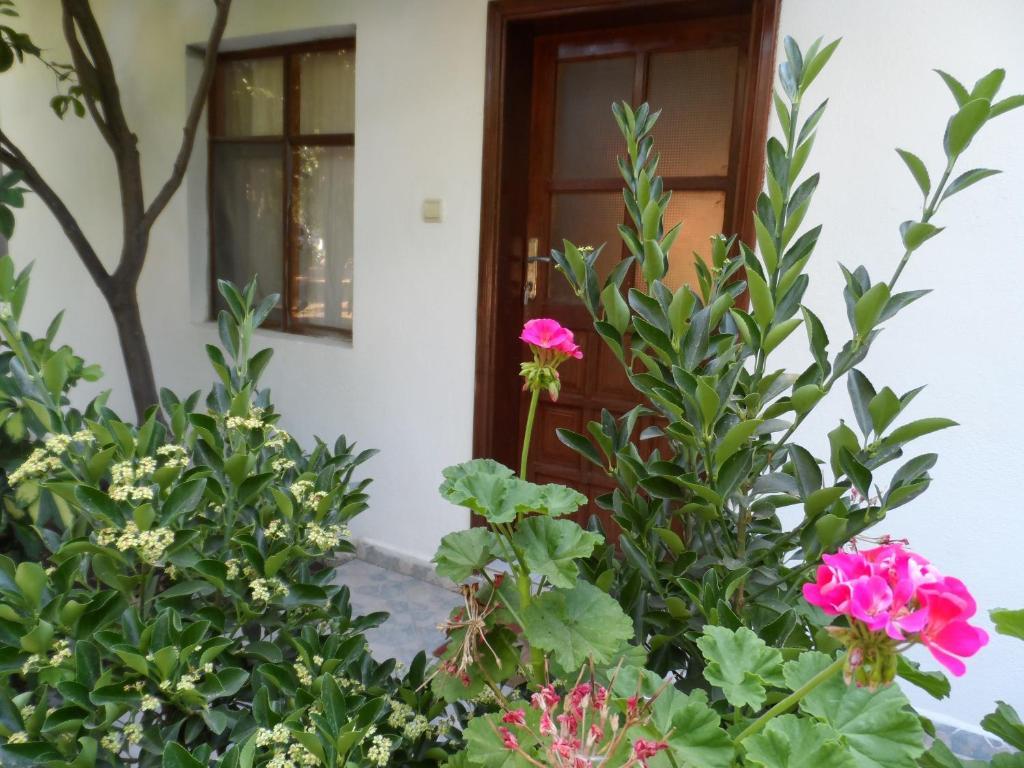 Çıralı Engin Pension חדר תמונה
